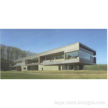 Environment-friendly Building Materials-stone Material External Curtain Wall Panels-siding Plank 